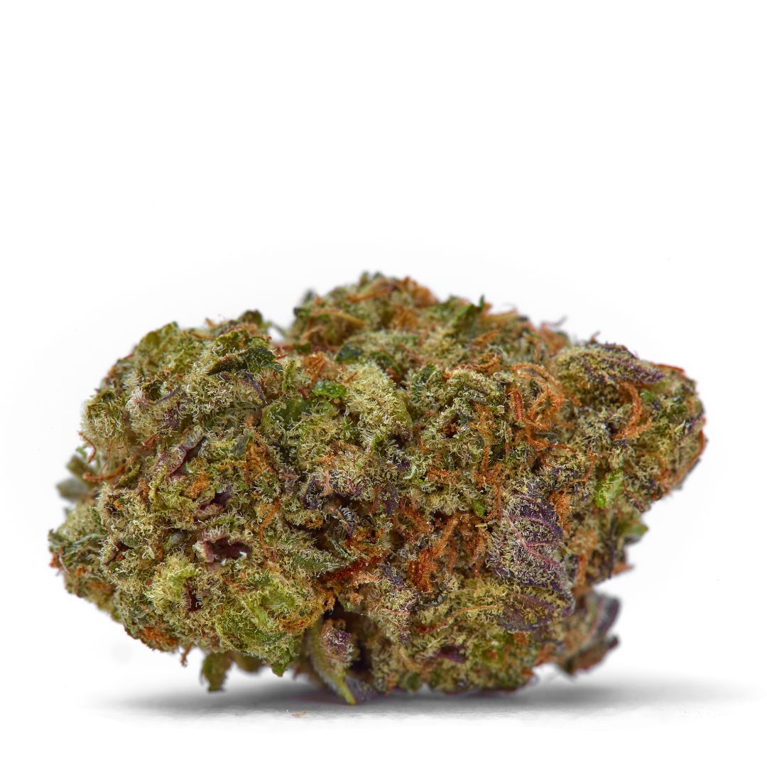 Gelato